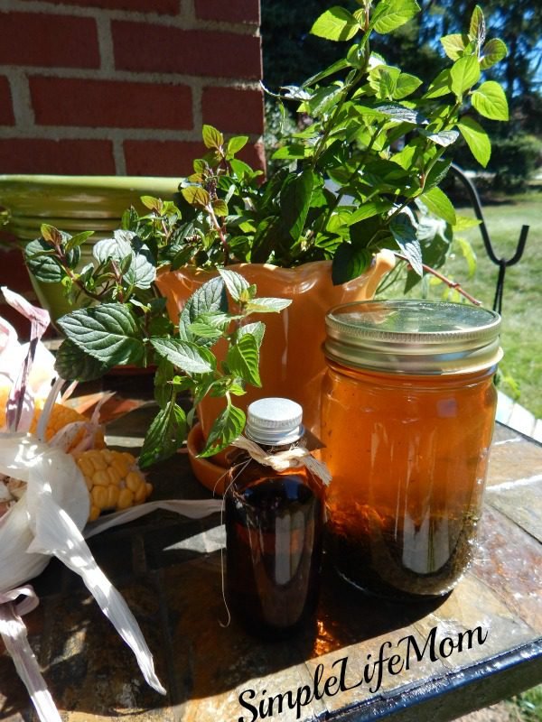 homemade peppermint extract