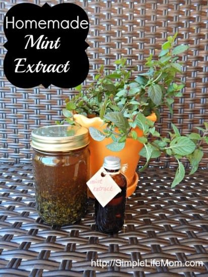 Make Mint Extract - easy, homemade, and only takes one month to steep