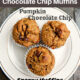 Best Chocolate Chip Peanut Butter Muffins-Gluten Free