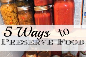 5 Ways to Preserve Food and FoodSaver Giveaway