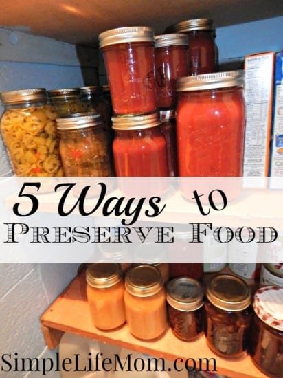 5 Ways to Preserve Food and FoodSaver Giveaway