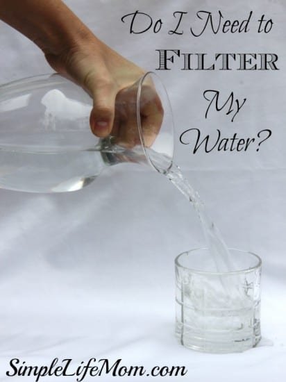 Do I Need to Filter my Water?