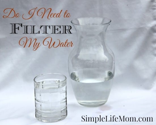 Do I need to filter my water?
