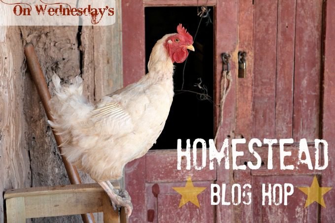 Homestead Blog Hop 11 from Simple Life Mom