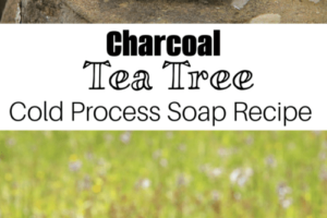 Charcoal Tea Tree Cold Process Soap Recipe