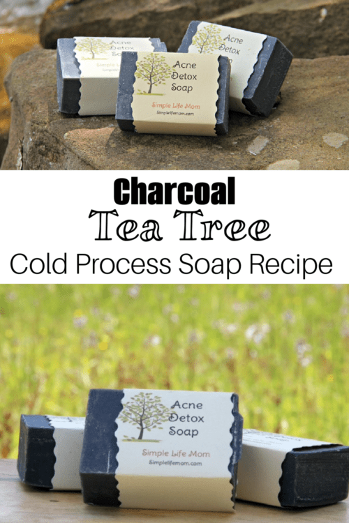 Charcoal & Tea Tree Soap