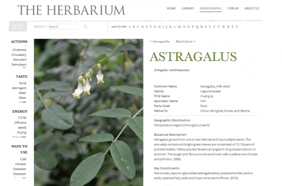 Learning About Herbs - Featured Monograph from The Herbarium