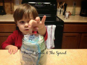 Homestead Blog Hop Featured - DIY Disinfecting Cleaning Wipes by Frugal Mama and the Sprout