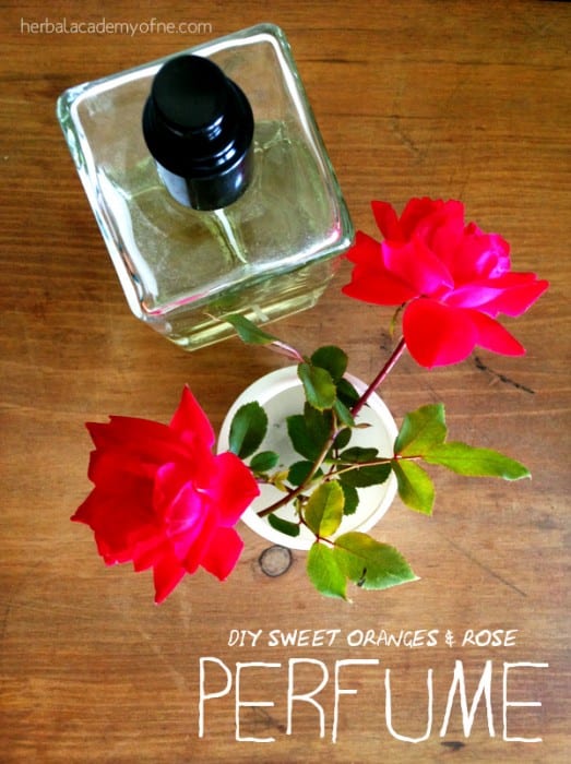 27 Last Minute DIY Gift Ideas - DIY Sweet Orange and Rose Perfume from Herbal Academy of New England