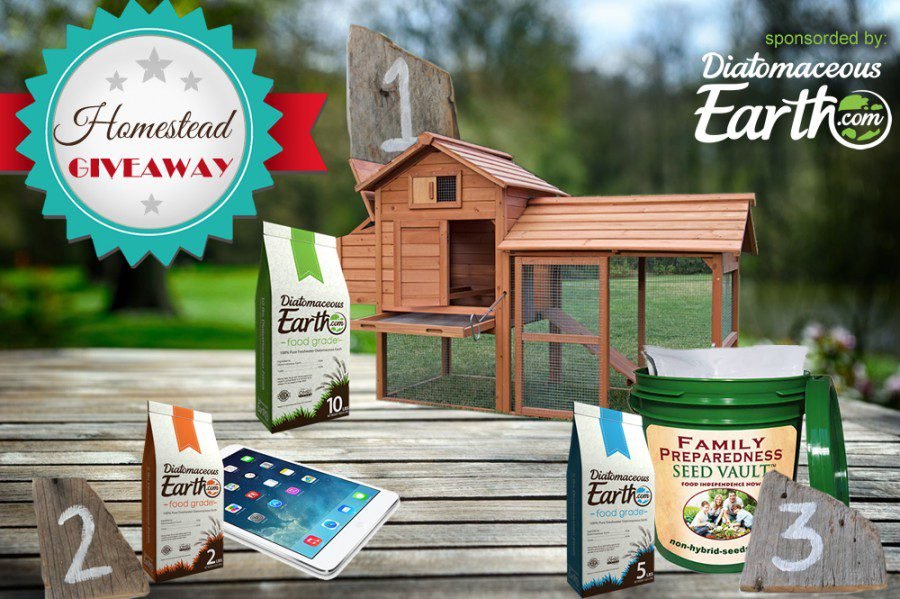 Get Rid of Insects Naturally