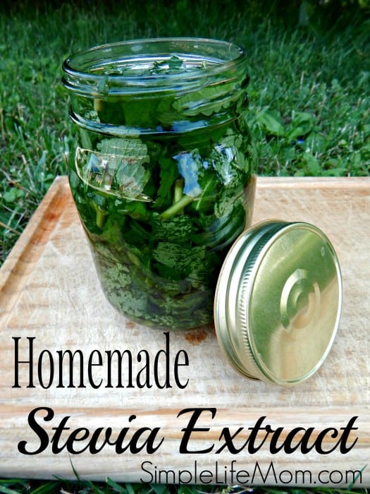 Learn how to make Homemade Stevia Extract with only two simple ingredients by Simple Life Mom