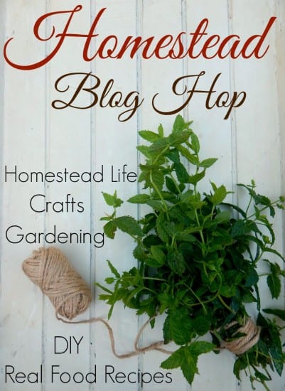  Homestead Blog Hop will take place every Wednesday featuring real food recipes, natural health remedies, DIY, crafts, Gardening Tips, and more...