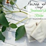 Poison Ivy Soap Recipe with Jewel Weed - a natural remedy for posion ivy, oak, and sumac. Helps stop it from spreading or breaking out in the first place.