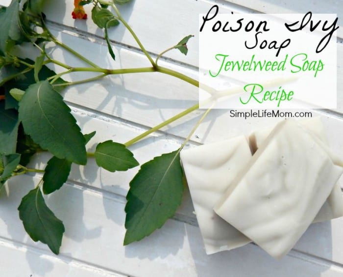 Poison Ivy Soap Recipe with Jewel Weed - a natural remedy for poison ivy, oak, and sumac. Helps stop it from spreading or breaking out in the first place.