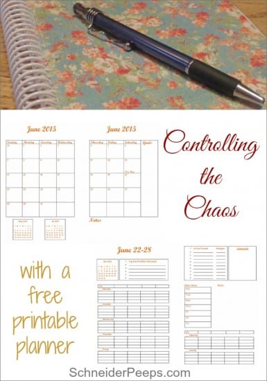 17 Natural Back to School DIYs - Free Printable from Schneider Peeps