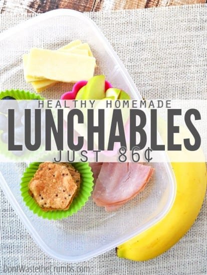 17 natural back to school DIYs - Healthy Lunchables from Don't Waste the Crumbs