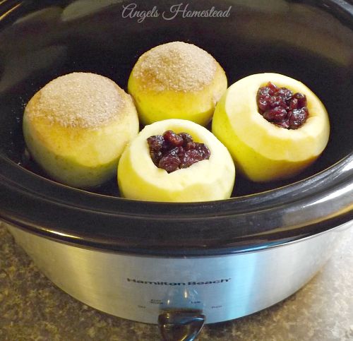 12 Apple Recipes for Fall - Crockpot and Apples