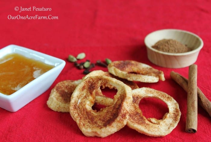 12 Apple Recipes for Fall - Honey-Spiced-Dried-Apple-Rings-1