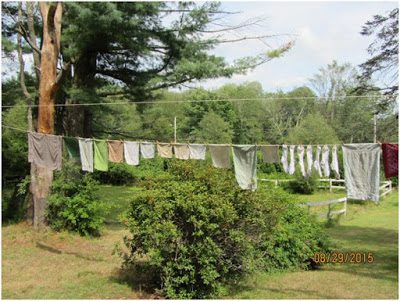 Featured on the Homestead Blog Hop - Finally a Clothesline