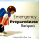 Emergency Preparedness Backpack