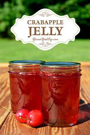12 Apple Recipes for Fall - crabapple-jelly-vert-growagoodlife