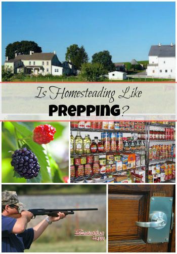 Featured on the Homestead Blog Hop - Is Homesteading Like Prepping? from The Homesteading Hippy