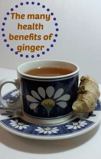 Featured on the Homestead Blog Hop - Health benefits of ginger