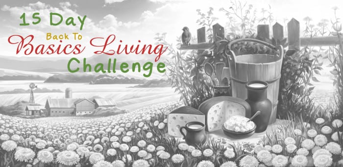 15 Day Back to Basics Living Challenge - get back to basics and get a fresh start.