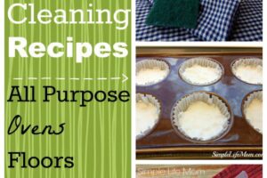 9 Natural Cleaning Recipes for Spring Cleaning from Simple Life Mom