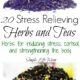 20 Stress Relieving Herbs and Teas