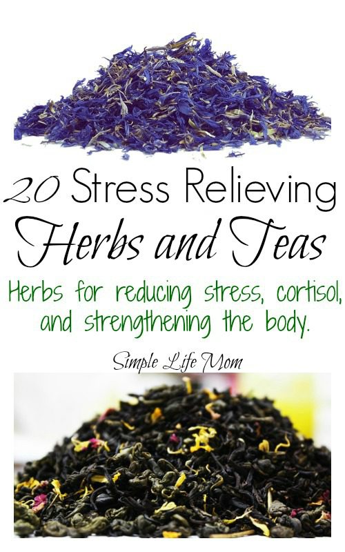 20 Stress Relieving Herbs and Teas from Simple Life Mom