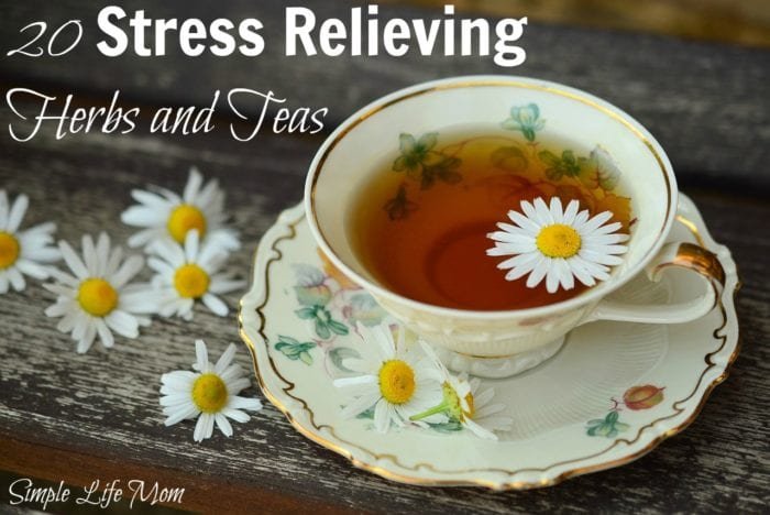 20 Stress Relieving Herbs and Teas from Simple Life Mom