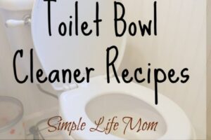 4 Homemade Toilet Bowl Cleaner Recipes from Simple Life Mom