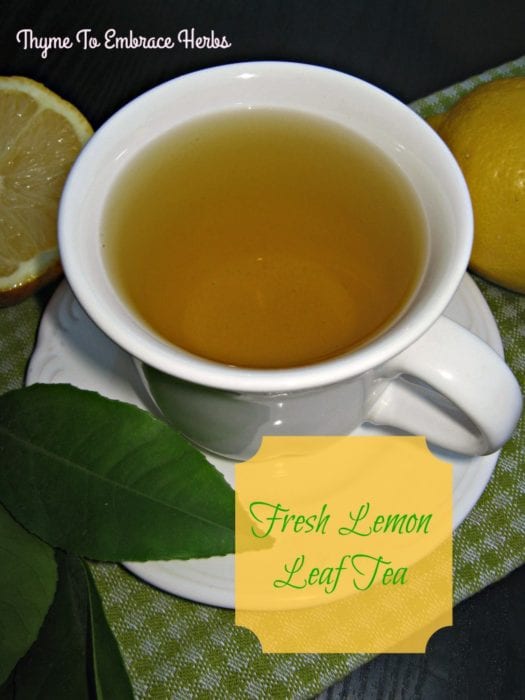 Featured on the Homestead Blog Hop - fresh-lemon-leaf-tea from Thyme to Embrace Herbs