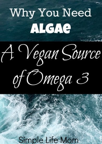 Why You Need Algae: A Vegan Source of Omega 3 from Simple Life Mom
