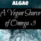 Why You Need Algae: A Vegan Source of Omega 3
