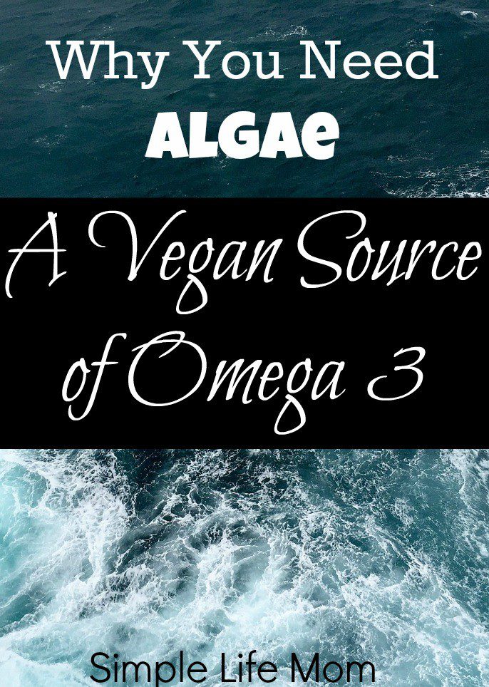 Why You Need Algae: A Vegan Source of Omega 3 from Simple Life Mom #ad #sk