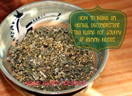 homestead-blog-hop-feature-how-to-make-decongestant-tea