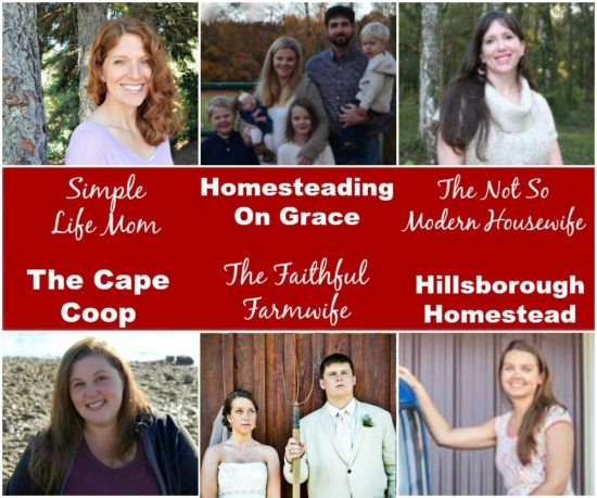 Homestead Blog Hop Hosts Feb 2017