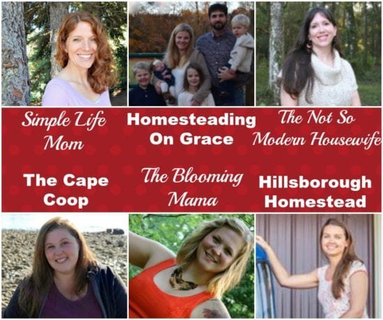 Homestead Blog Hop Hosts Jan 2017