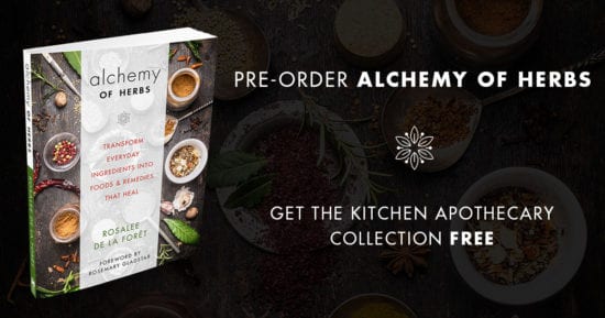 Alchemy of Herbs by Rosalee de la Foret from Simple Life Mom