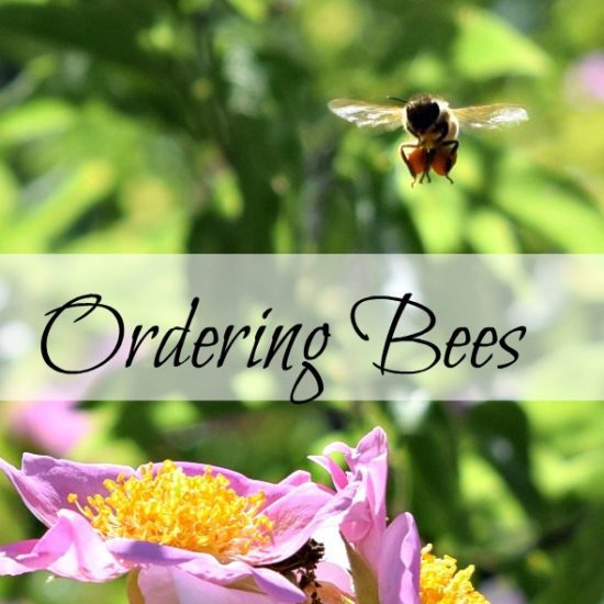 Homestead Blog Hop Feature - Ordering Bees from Oak Hill Homestead