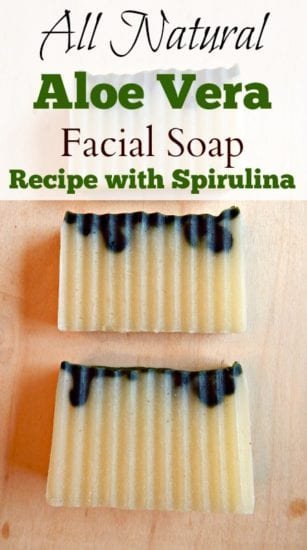 All Natural Aloe Vera Facial Soap Recipe with Spirulina from Simple Life Mom