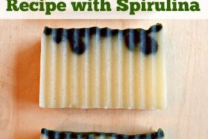 All Natural Aloe Vera Facial Soap Recipe with Spirulina from Simple Life Mom
