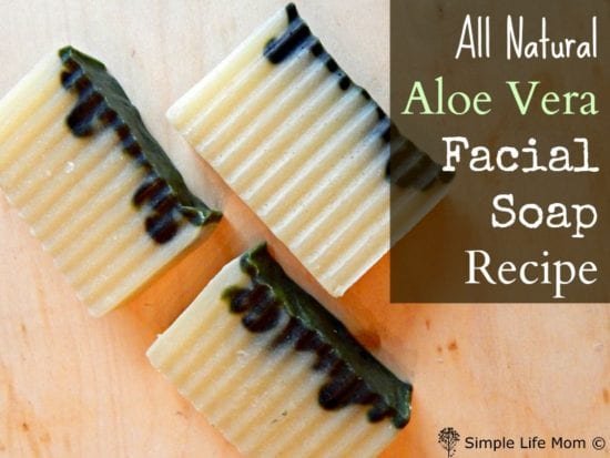 All Natural Aloe Vera Facial Soap Recipe with Spirulina from Simple Life Mom