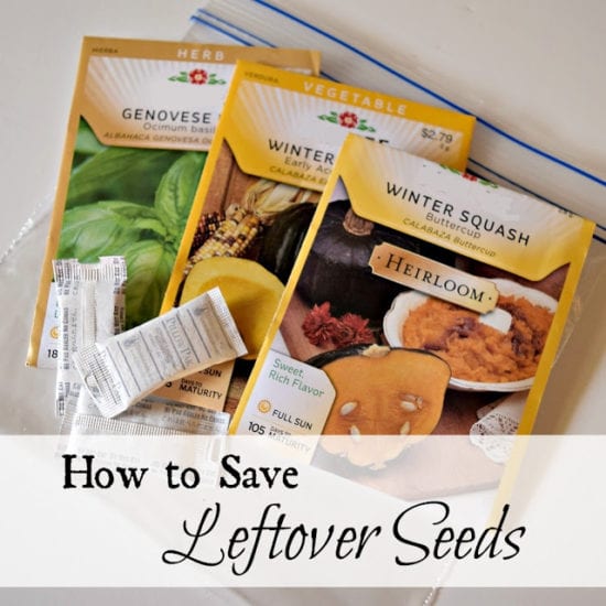 Homestead Blog Hop Feature - How to save leftover seeds
