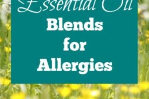 Essential Oil Blends for Allergies with peppermint, eucalyptus, bergamot, lemon, and other natural oils to help give allergy relief by Simple Life Mom