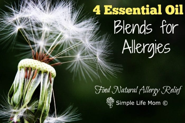 Essential Oils for Allergies with peppermint, eucalyptus, bergamot, lemon, and other natural oils to help give allergy relief by Simple Life Mom