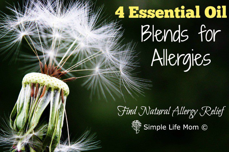 Essential Oil Blends for Allergies with peppermint, eucalyptus, bergamot, lemon, and other natural oils to help give allergy relief by Simple Life Mom
