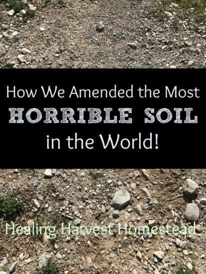 Homestead Blog Hop Feature - Healing Harvest Homestead